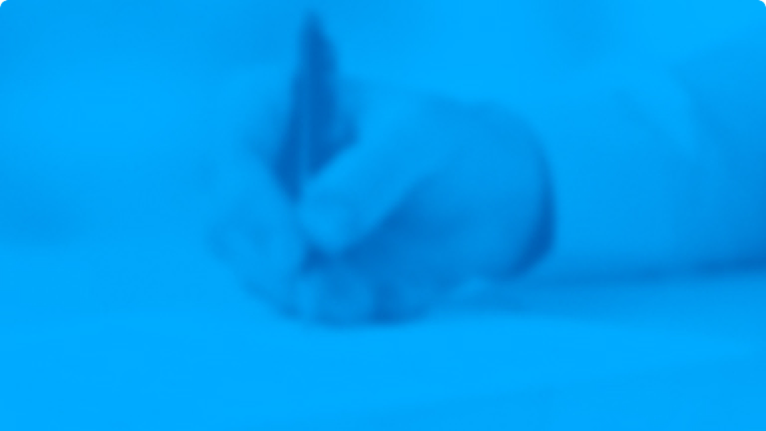 preparation & administration flashcard thumbnail